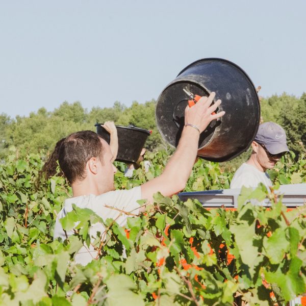 pexels-corentin-henry-8164316